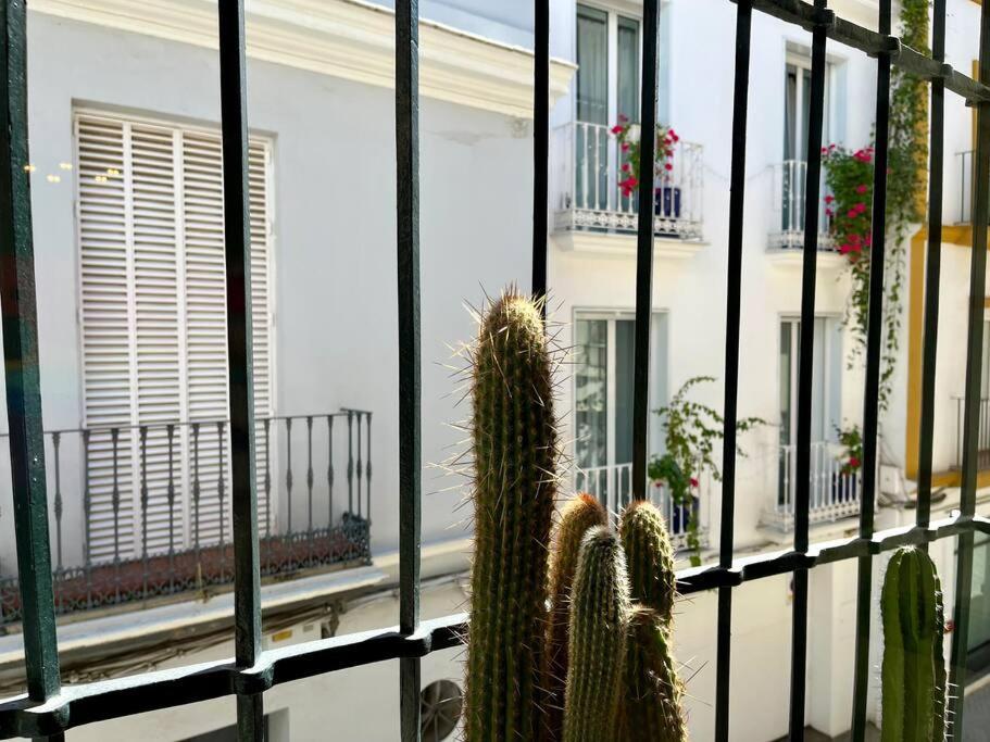 Apartamento Suite Alameda De Hercules เซบีญา ภายนอก รูปภาพ